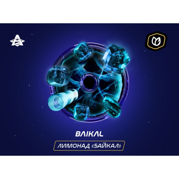 Паста Space Smoke Tobacco Baikal 30 гр в Нарьян-Маре