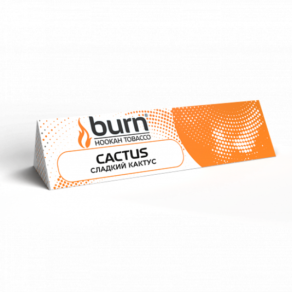 Табак BURN CACTUS 25 грамм в Нарьян-Маре