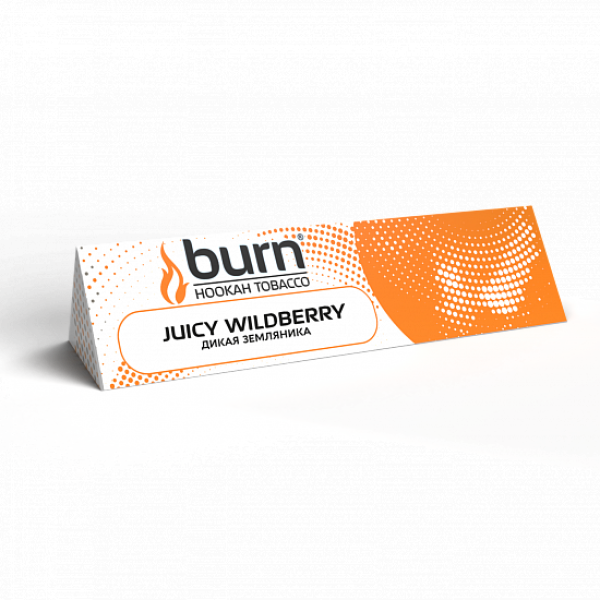 Табак BURN JUICY WILDBERRY 25 грамм в Нарьян-Маре