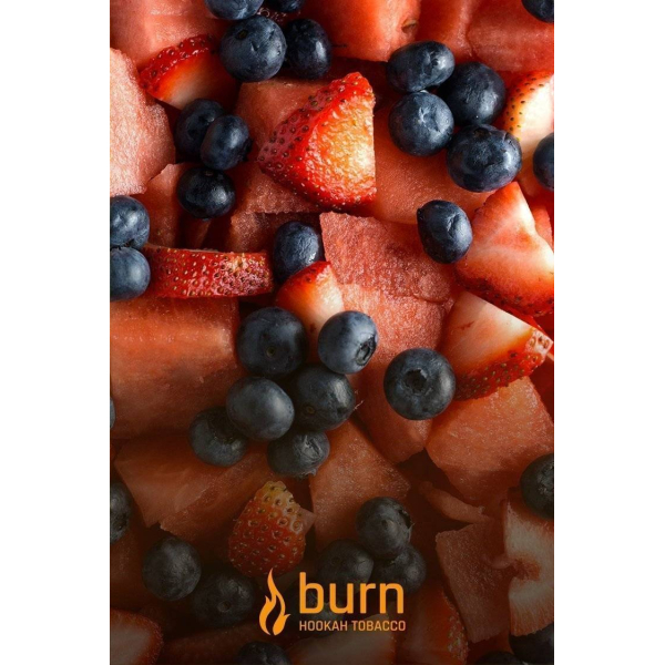 Табак Burn Berried Treasure 100 грамм в Нарьян-Маре
