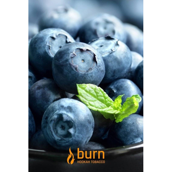 Табак Burn Blueberry Mint 100 грамм в Нарьян-Маре