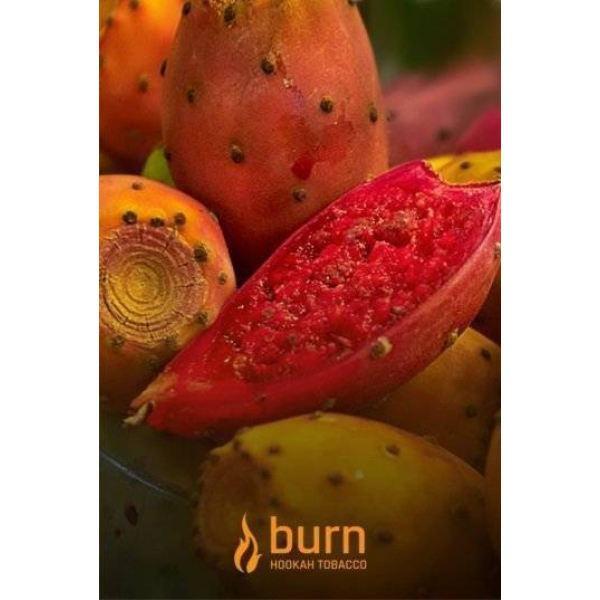 Табак Burn Cactus 100 грамм в Нарьян-Маре