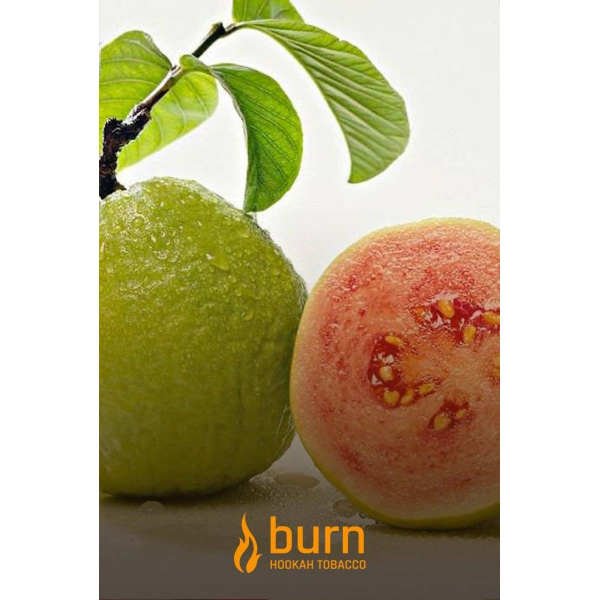 Табак Burn Guava 100 грамм в Нарьян-Маре