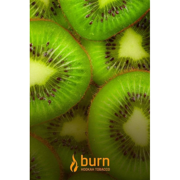 Табак Burn Kiwi 100 грамм в Нарьян-Маре