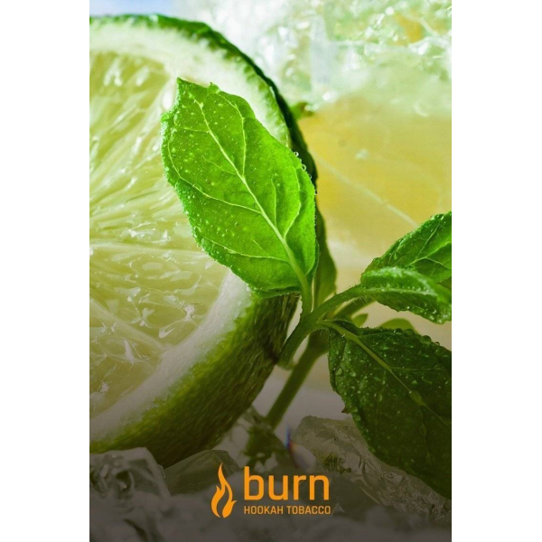 Табак Burn Lemon Mint 100 грамм в Нарьян-Маре