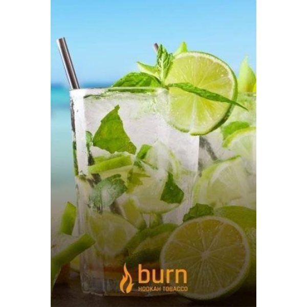 Табак Burn Mojito 100 грамм в Нарьян-Маре
