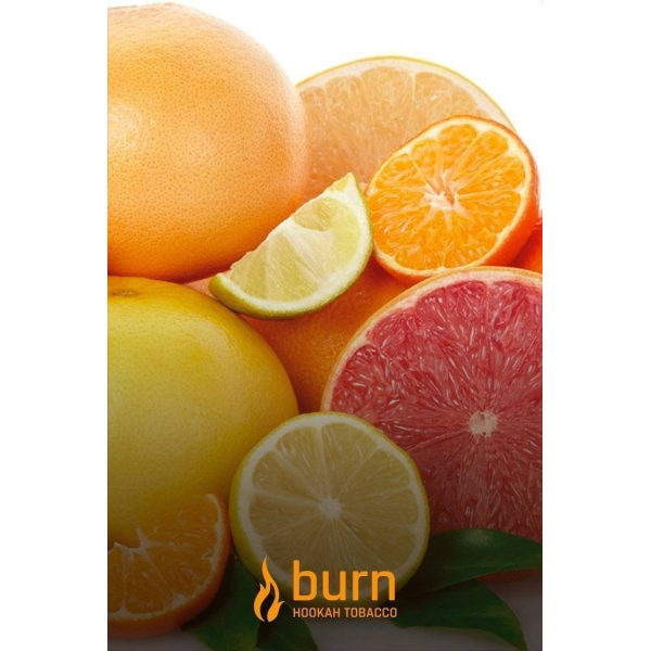 Табак Burn SundaySun 100 грамм в Нарьян-Маре