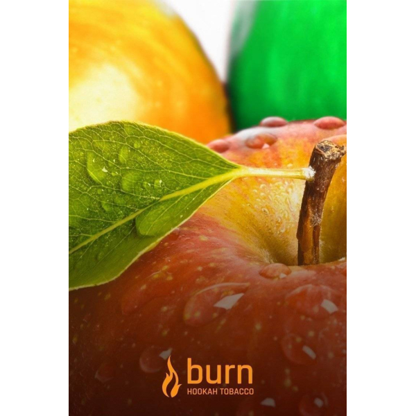 Табак Burn Three Apples 100 грамм в Нарьян-Маре