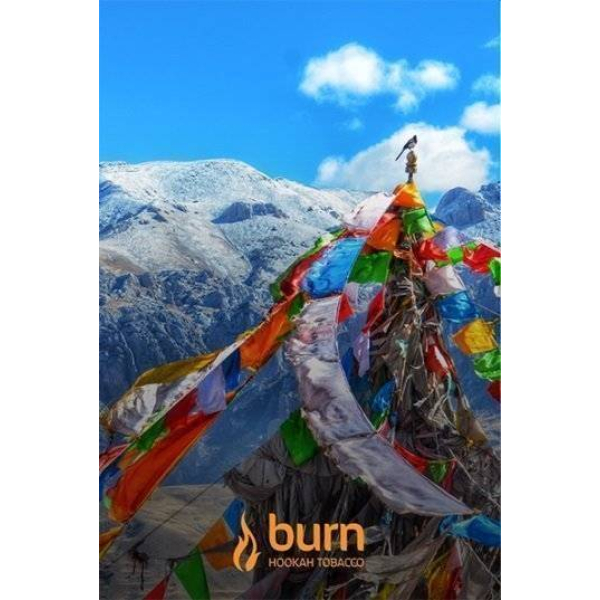 Табак Burn Tibet 100 грамм в Нарьян-Маре