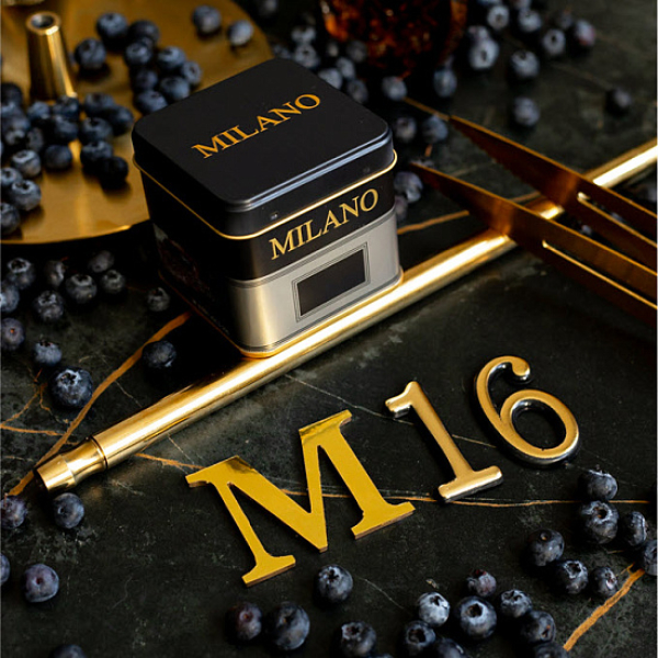 Табак MILANO GOLD М16 BILBERRY 100 гр в Нарьян-Маре