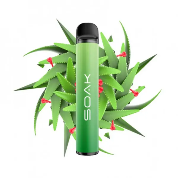 SOAK X Aloe Vera (Алое Вера), 1500 тяг в Нарьян-Маре