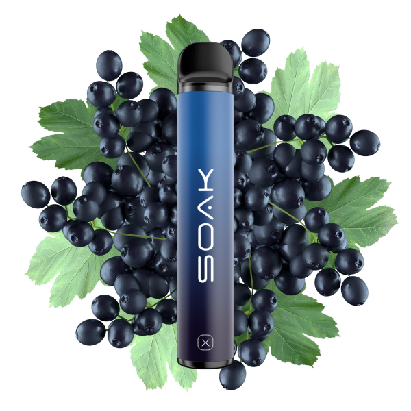 SOAK X Forest Blackcurrant (Лесная черная смородина), 1500 тяг в Нарьян-Маре