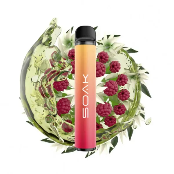 SOAK X Jasmin Raspberry Tea (Жасминовый чай с малиной), 1500 тяг в Нарьян-Маре