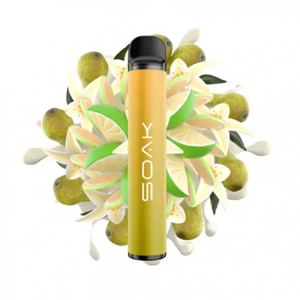 SOAK X Vanilla Pear (Ванильная груша с лаймом), 1500 тяг в Нарьян-Маре