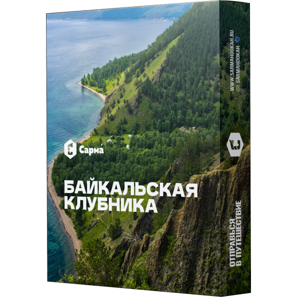 Табак Сарма Байкальская Клубника 25 гр в Нарьян-Маре
