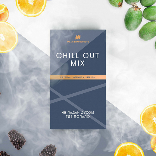 Табак Шпаковского Chill Out (Ежевика Фейхоа Цитрусы) 40 грамм в Нарьян-Маре