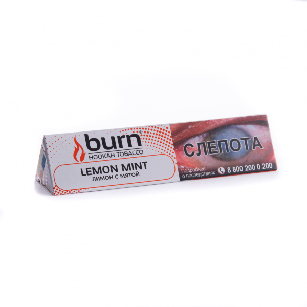 Табак Burn Lemon Mint  25 грамм в Нарьян-Маре